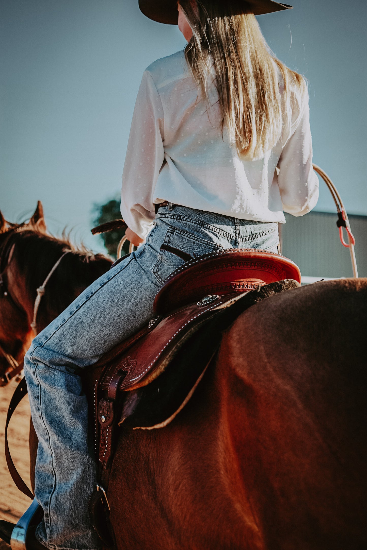 Temptress Jeans - LIGHT Wash
