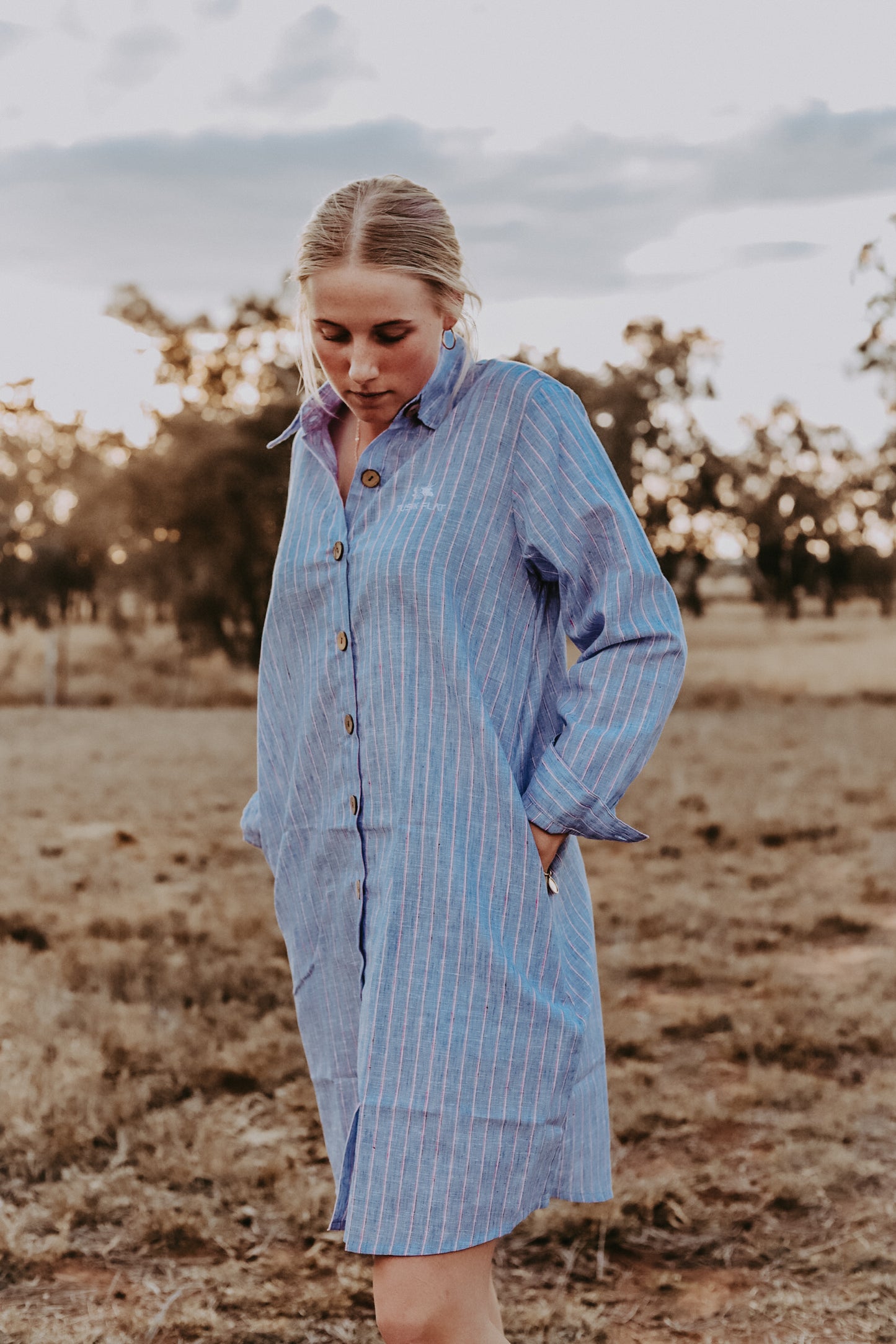 Blue Stripe Linen Shirt Dress