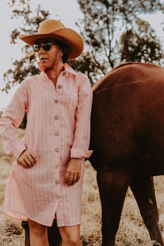 Pink Stripe Linen Shirt Dress