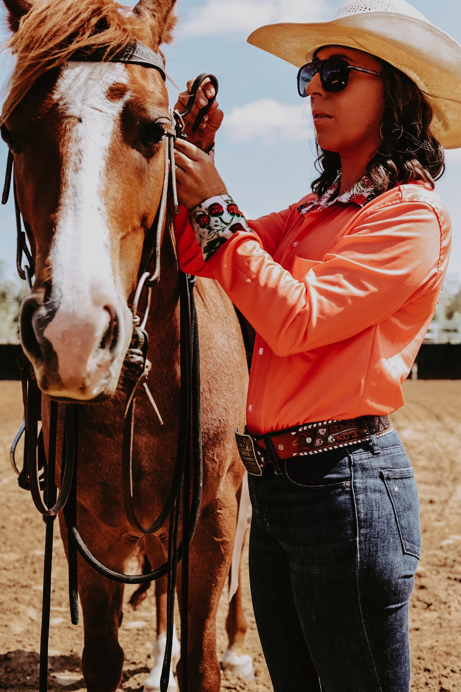 Horse Shop, Leather & Tools