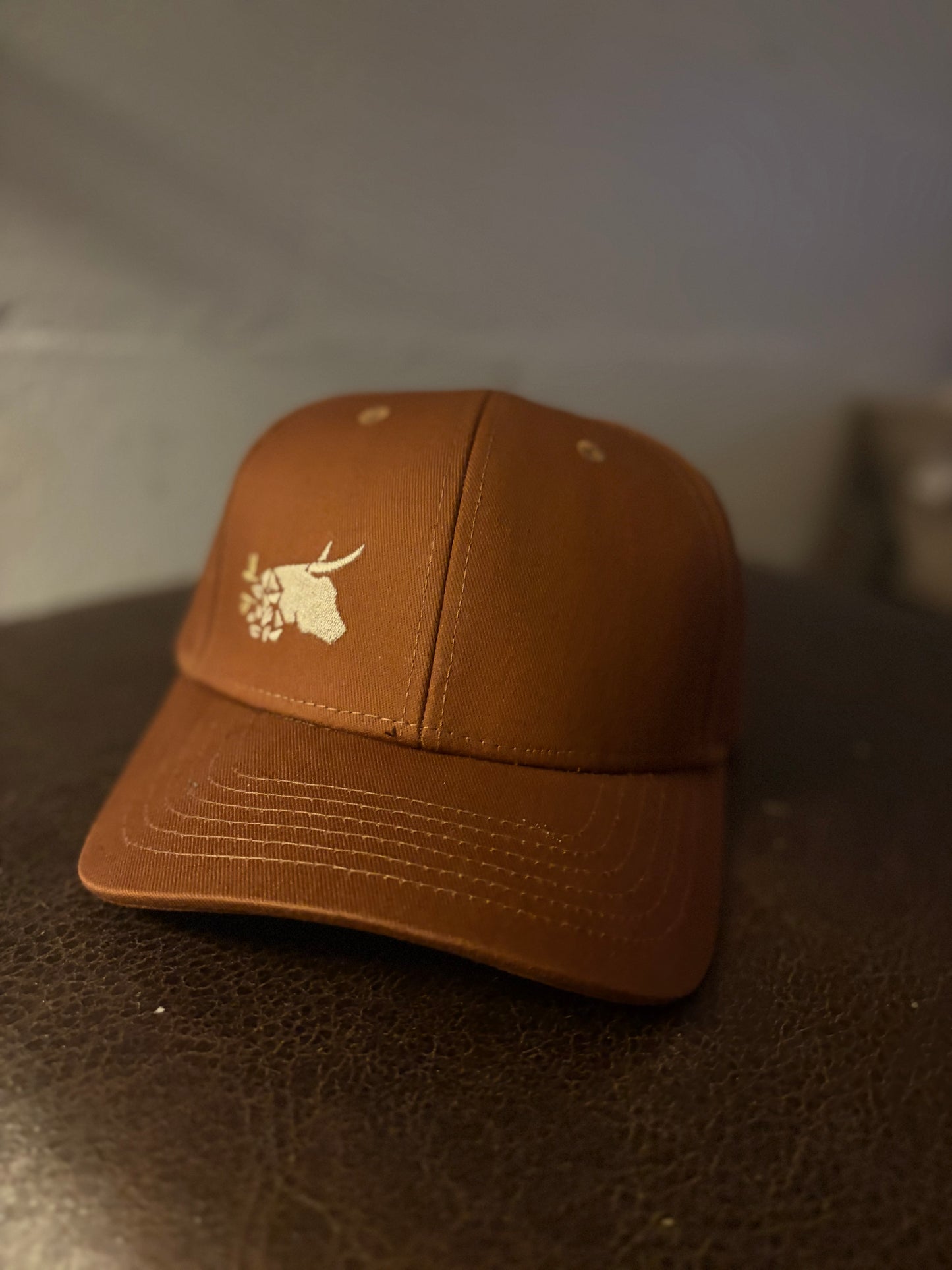 Chocolate Latte “Play Ball” Cap