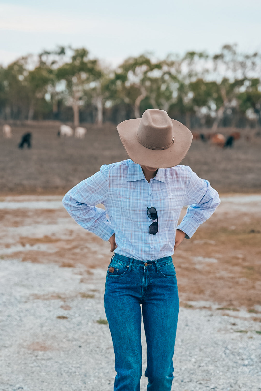 Baby Blue Check Arena Shirts