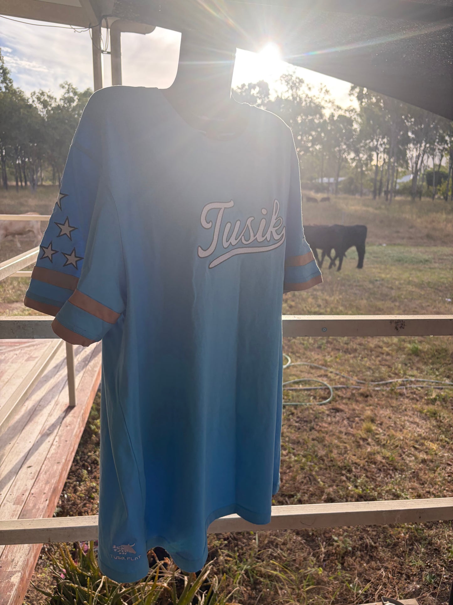 Over size Blue Embroidered Tee