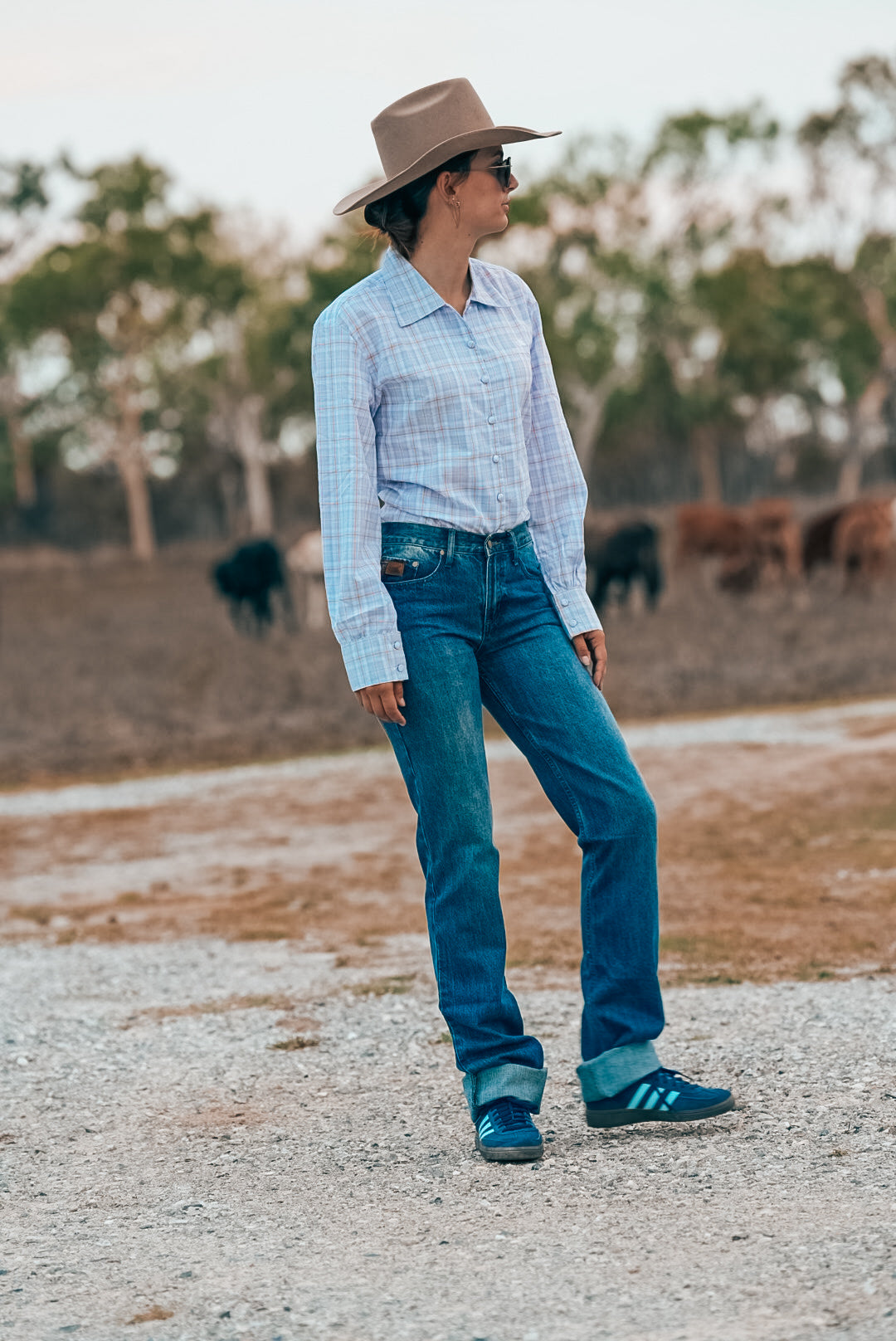 Temptress Jeans - DARK Wash