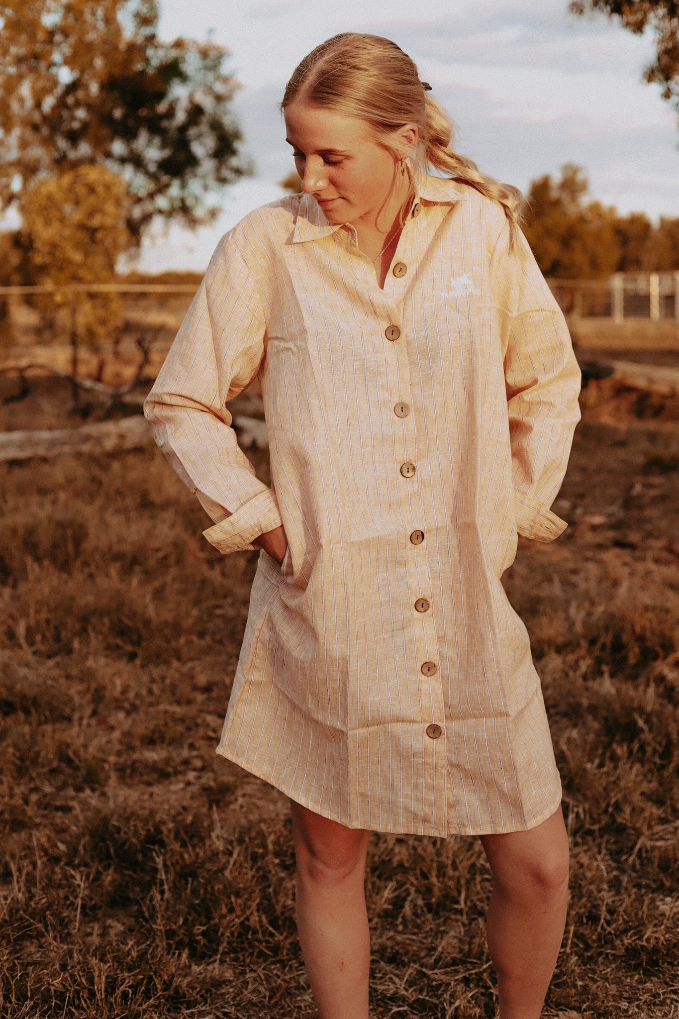 Lemon Stripe Linen Shirt Dress