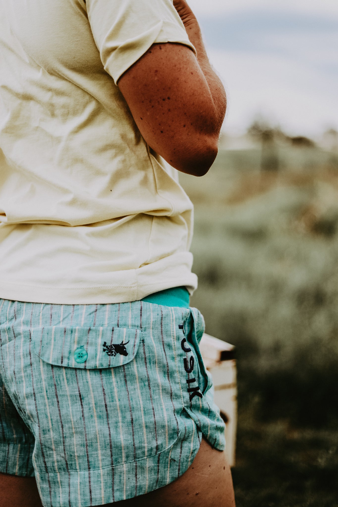 Turquoise w/ yellow and black stripe linen rugger